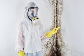 Best Environmental Consulting for Mold Prevention  in Savage, MN